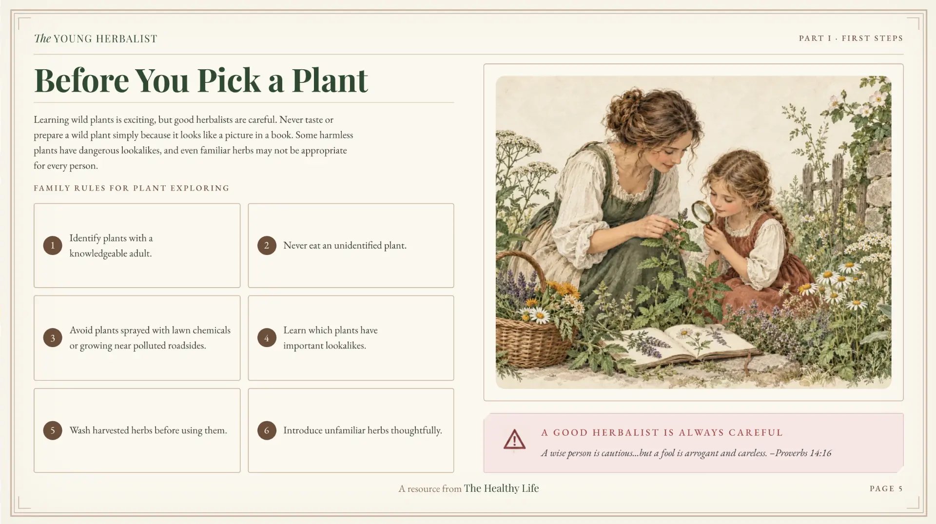 Family rules for plant exploring page